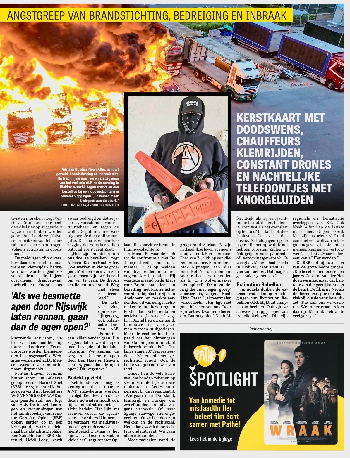 De wolf in Nederland