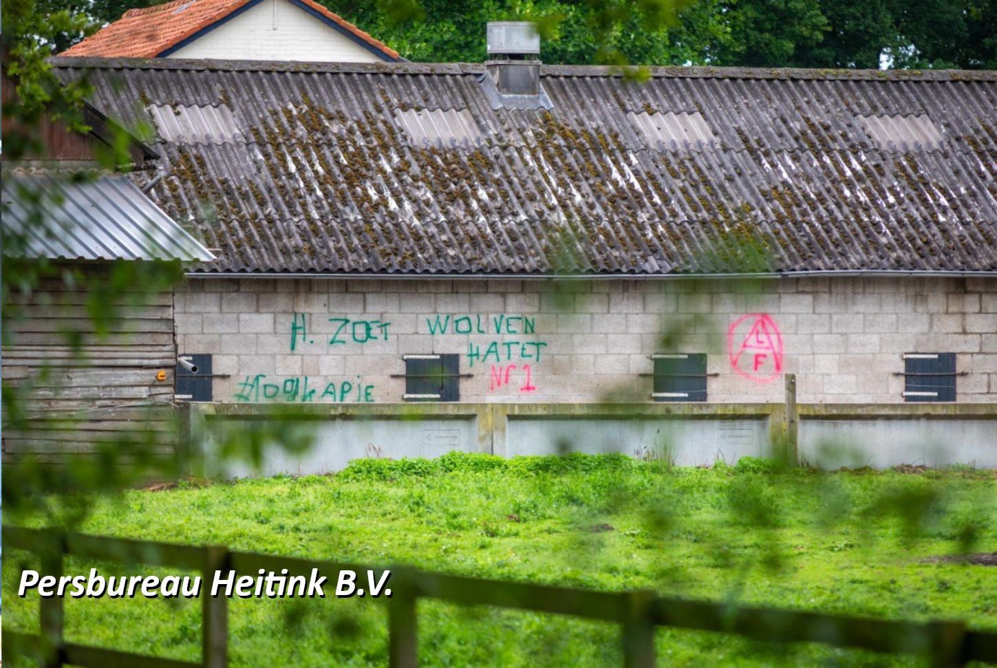 De wolf in Nederland